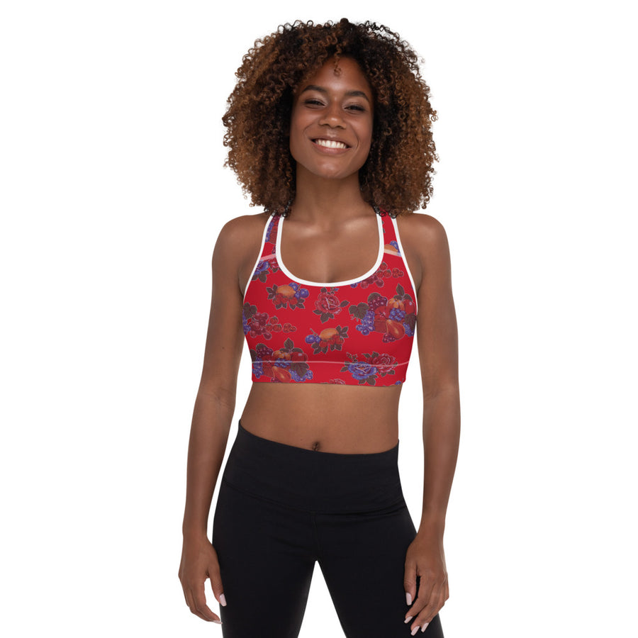 Fruit and Roses Red OilCloth Print Padded Sports Bra – Bunny Hill Activewear